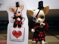 IMGP2605.JPG