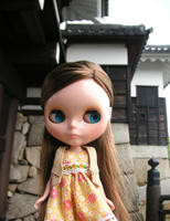 hiroshima_castle_2.jpg