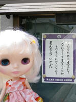 IMGP2689_t.JPG