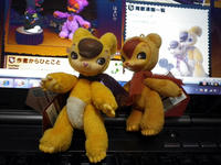IMGP2906.JPG