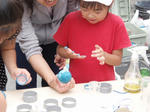 20090705dorodangotairu015.JPG