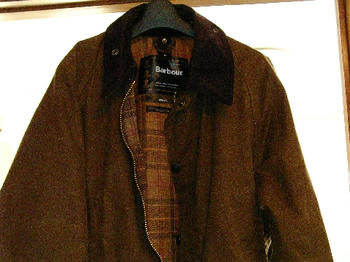 image3.jpg
