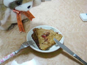 20090126voce.jpg