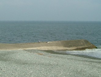 46.jpg