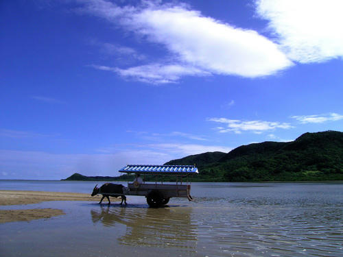 夏の予感