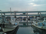 2009112701.jpg