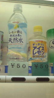 20090405153132.jpg