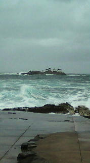 20090426095416.jpg