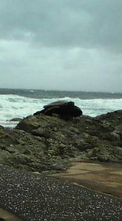20090426095457.jpg