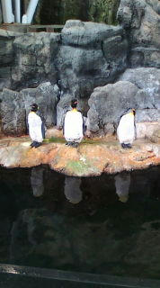 20090426095217.jpg