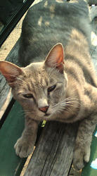 20080923155214.jpg