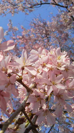 2011040616250000.jpg