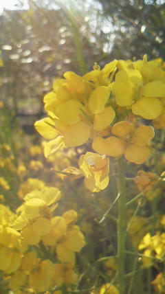 2011040616260001.jpg