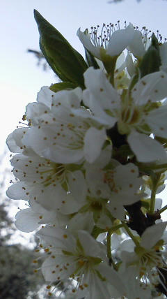 2011040616330000.jpg