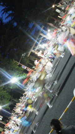 2011080319140003.jpg