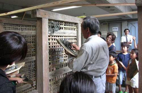 tuchikabe08185.jpg