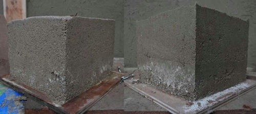 DSCN5063.jpg