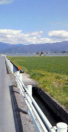 photo1.jpg