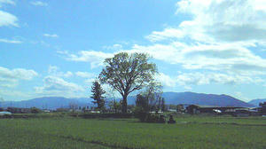 photo4.jpg