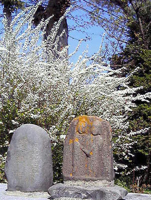 photo5.jpg
