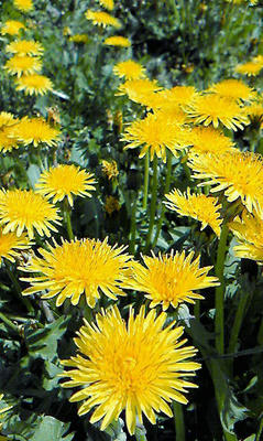 photo6.jpg