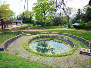 hinoike.jpg