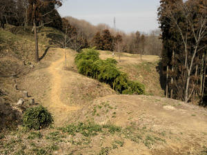 NCM_0066.JPG