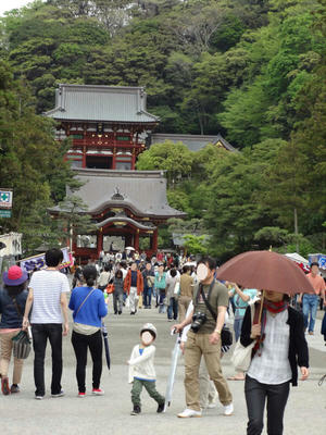tsuru1.JPG