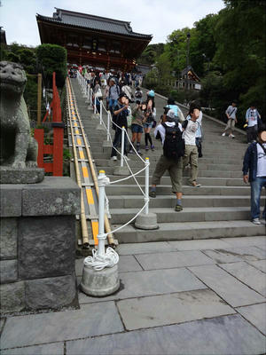 tsuru2.JPG