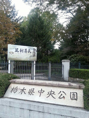 rps20121020_210523.jpg