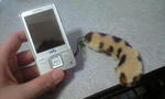 090629_2140~0001.jpg