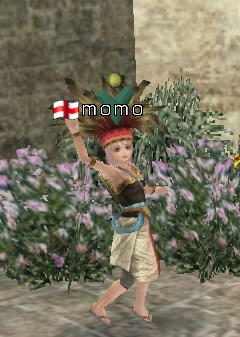 momo1.jpg