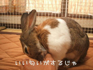 08082905.DSCF0015.jpg