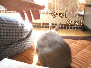 08091406.DSCF0065.jpg