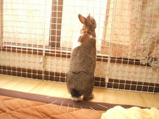 08092107.DSCF0015.jpg