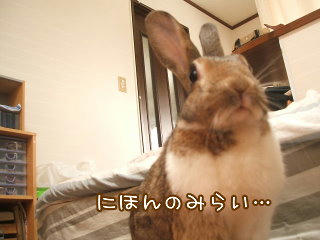 08092106.DSCF0010.jpg