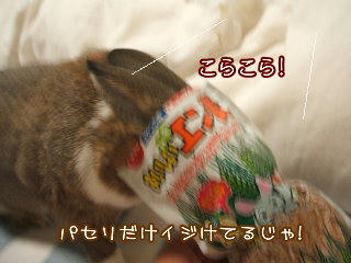 08092418.DSCF0058.jpg