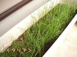 08092503.DSCF0061.jpg
