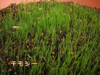 08092503.DSCF0063.jpg