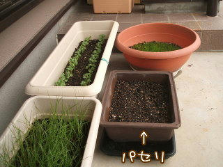 08092503.DSCF0064.jpg