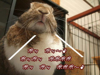 08092616.DSCF0073.jpg