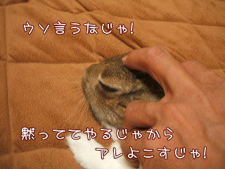 08092415.DSCF0015.jpg