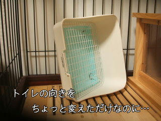 08092813.DSCF0009.jpg