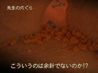 08092816.DSCF0002.jpg