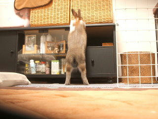 08092918.DSCF0020.jpg