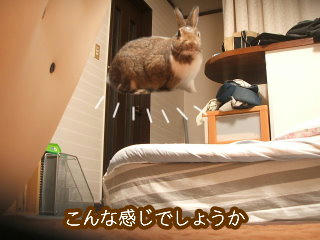 08092918.DSCF0036.jpg