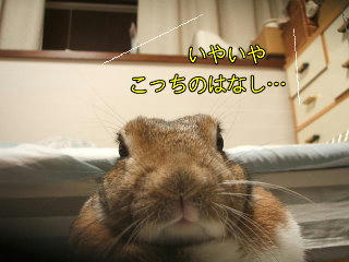 08100715.DSCF0037.jpg