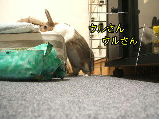 08100816.DSCF0051.jpg