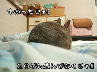 08100816.DSCF0067.jpg