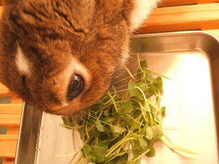 08101205.DSCF0132.jpg